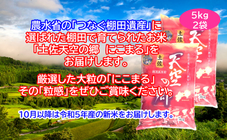 ★令和5年産★2010年・2016年 お米日本一コンテスト inしずおか 特別最高金賞受賞 土佐天空の郷 にこまる 10kg