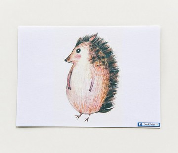 手繪明信片我是小刺蝟不是豪豬啦Hedgehog postcard