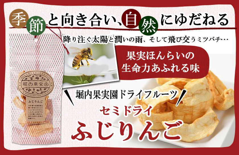 国産　堀内果実園ドライフルーツ／ セミドライ　ふじりんご 35ｇ