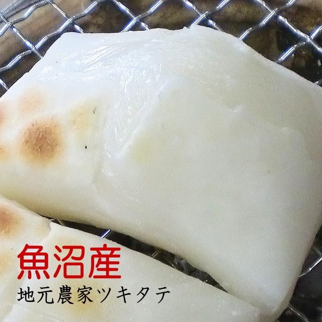 もち 餅 お餅 4kg こがね餅 つきたて（田舎 もち 白餅 500g×8袋入）生産農家 つきたて予約