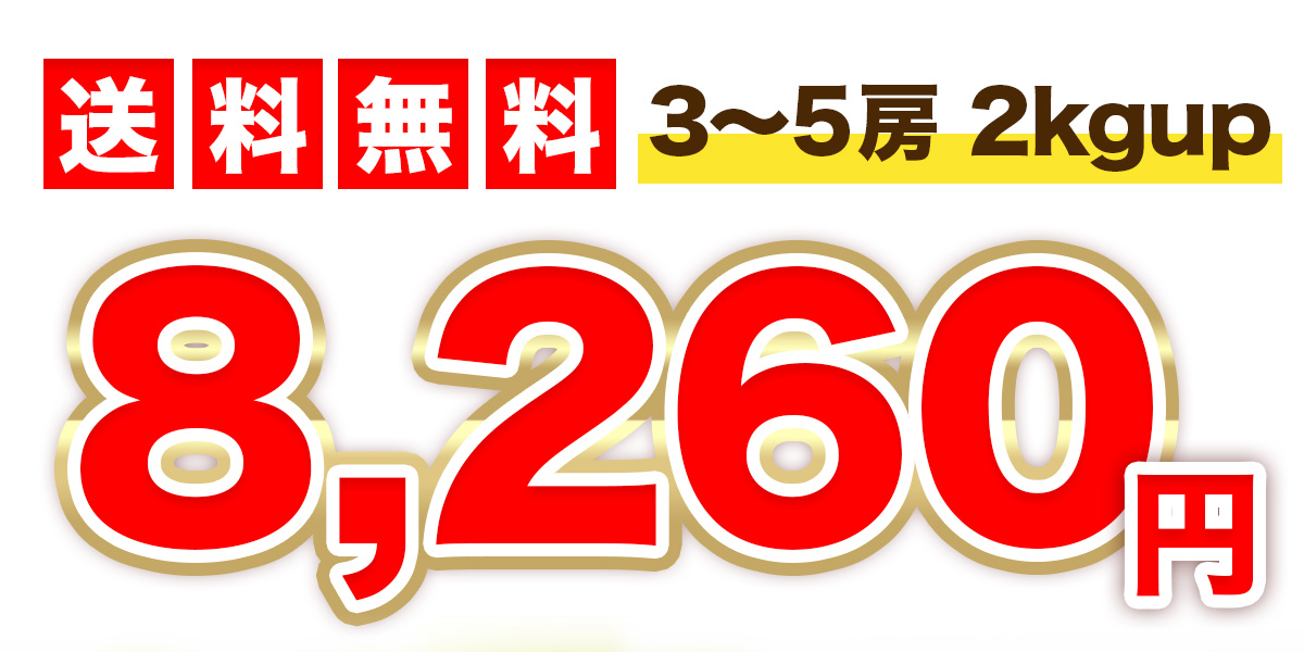 シャインマスカット ぶどう 3-5房 秀品 2kgup お歳暮 年末年始 ギフト 贈答 プレゼント 贈り物 クール便