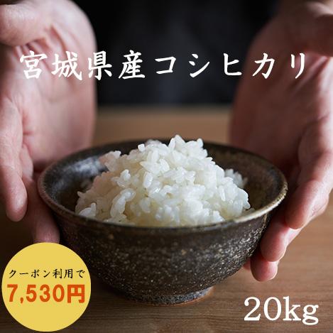 米 20kg 白米 玄米 コシヒカリ 宮城県産 令和5年産 白米5kg×4袋 玄米10kg×2袋 送料無料