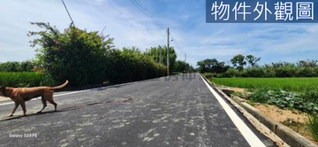 超划算的美地~1600坪，只要1250萬｜新竹縣新豐鄉後湖子