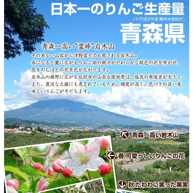 りんご 10kg 青森産 世界一 ご家庭用 送料無料 食品