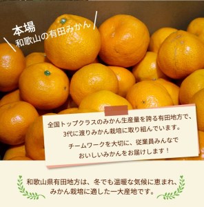 ＼光センサー選別／こだわりの完熟有田みかん 約8kg ◇有機質肥料100% ※2023年11月中旬頃～2024年1月上旬頃に順次発送予定 ※北海道・沖縄・離島への配送不可