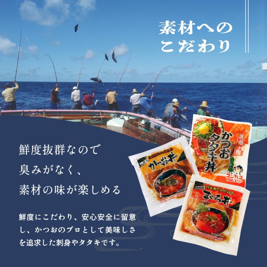 お歳暮 鹿児島県産 特選海鮮どんぶり3種セット 海鮮丼 10食入 カツオ マグロ タレ漬け R-12