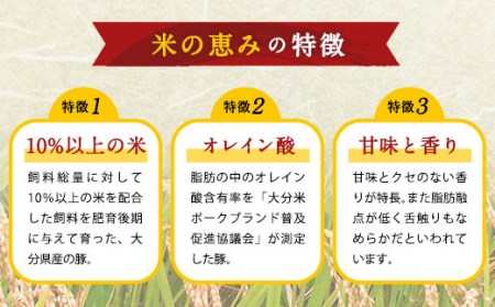 大分県産ブランド豚「米の恵み」季節の定期便セット 計4.8kg（1～2月・5～6月・9～10月）定期便 豚肉