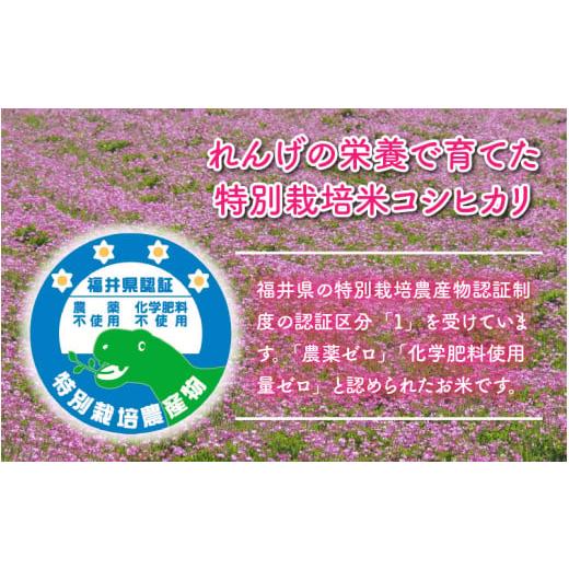 ふるさと納税 福井県 永平寺町 令和5年産 新米 農薬不使用・化学肥料不使用 永平寺町産 れんげ米 10kg×6ヶ月（計60kg） [K-002042]