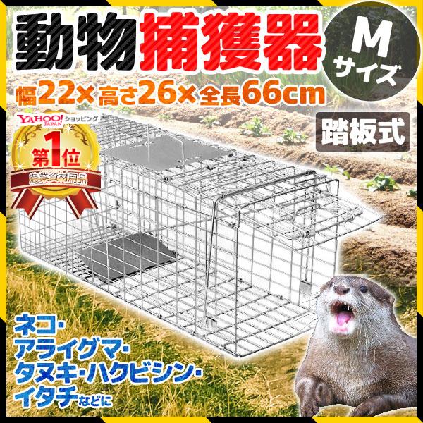 捕獲器 猫 アニマルトラップ トラップ イタチ 駆除 捕獲 踏板式 捕獲機 動物 罠 鼠 保護 庭 畑 餌 農業 アニマルキャッチャー