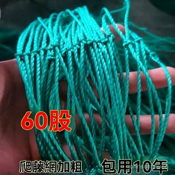 植物爬藤網 加粗60股 絲瓜爬藤網 耐用 葡萄爬藤網 爬藤網 攀爬網 藤蔓植物搭架網 花卉養殖網 圍網 牛花攀援
