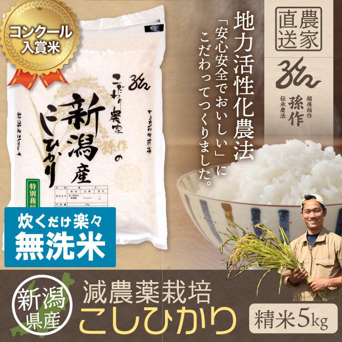 無洗米 新潟県産 コシヒカリ 特別栽培米 5kg 令和5年産 新米 こしひかり 5キロ 農家直送 減農薬