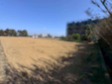 新屋大坡農地｜桃園市新屋區大坡段大坡小段