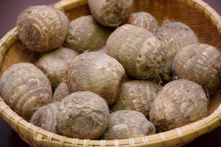 聖籠産砂里芋（さりいも）　３Ｌ・５kg