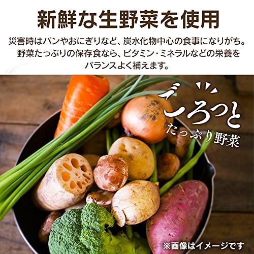 アイリスオーヤマ けんちん汁 パウチ 250g ×36個 非常食 保存食 長期保存 (製造から) 5年