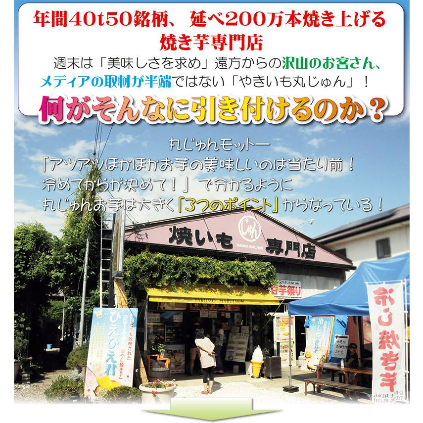 焼き芋 紅はるか 冷蔵 冷やし焼き芋 ひえひえ君 1kg 送料無料