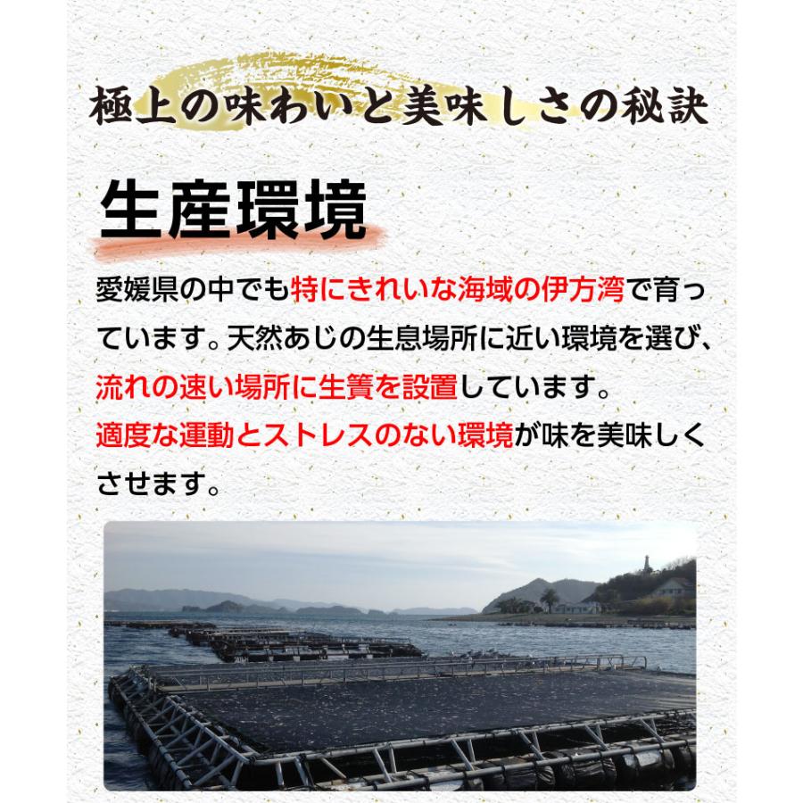 プレゼント ギフト 海鮮 干物 特大真あじ干物 4枚 アジ 干物 贈答用 ギフト 愛媛県産 養殖 真あじ アジの開き 鯵  送料無料 Y凍