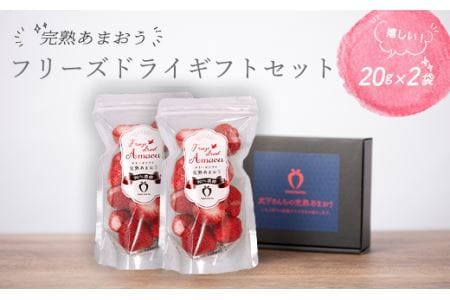 形も味もそのまま楽しめる！完熟あまおう (20g×2袋)