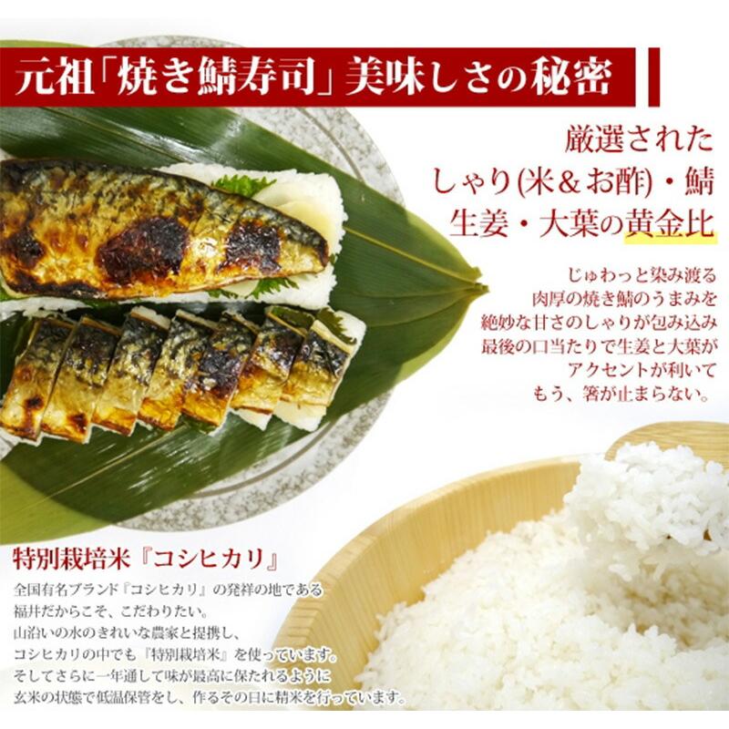 ギフト 元祖 焼き鯖寿司 竹皮包み 約290g×3本 越前三國湊屋