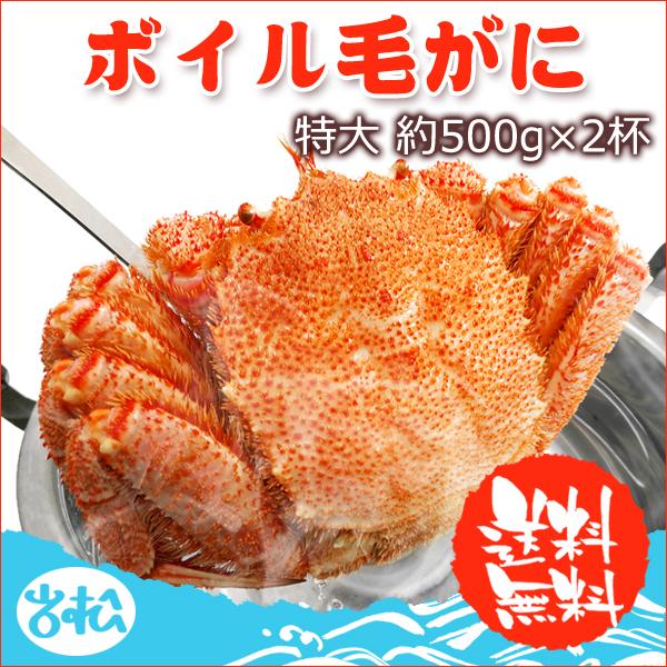 毛がに 特大 約500g 2杯 ボイル 毛ガニ 北海道 国産 送料無料 1kg