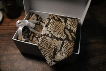 蟒蛇纹型男领带口袋巾套装骚气组合