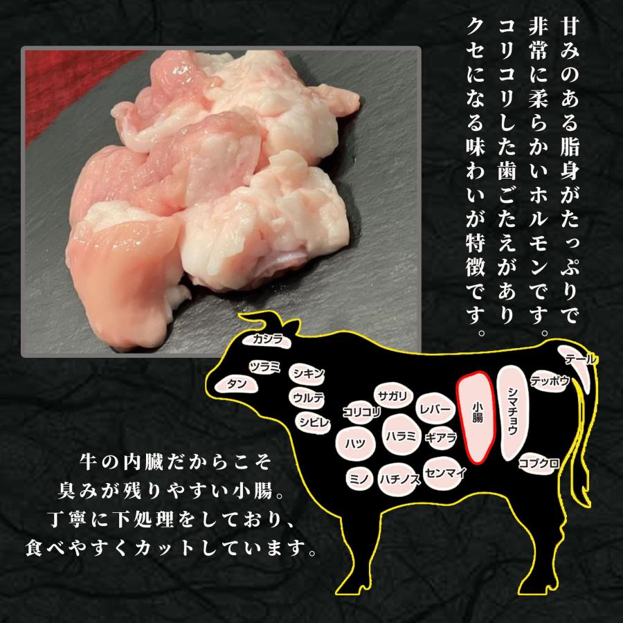 国産 牛ホルモン 200g 小分け 小腸 もつ ホルモン焼き 焼肉 バーベキュー BBQ コプチャン