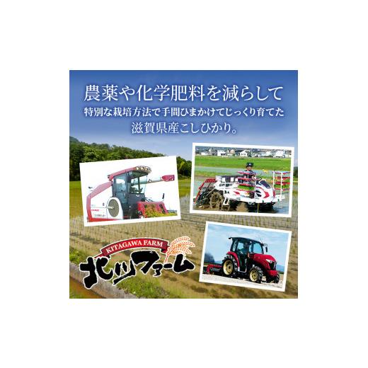 ふるさと納税 滋賀県 豊郷町 米 定期便 10ヶ月連続 近江米 ミルキークイーン 5kg 令和5年 お米 こめ コメ おこめ 白米 10回 お楽しみ