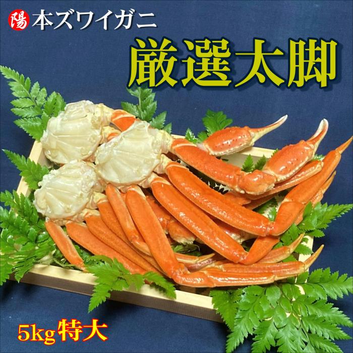 本ズワイガニ脚 ボイル済み 特大 5kg 20肩前後