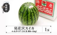 先行予約 尾花沢スイカ 4〜5Lサイズ(約9〜10kg)×1玉 7月下旬～8月中旬頃発送 令和6年産 2024年産 農産センター すいか 西瓜 ※沖縄・離島への配送不可 ns-su45x1