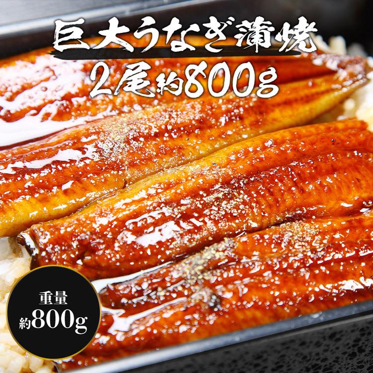 うなぎ うなぎ 驚く大きさ 巨大うなぎ蒲焼き 2尾×約400g 計約800g 山椒たれ付き 優良配送 ウナギ 鰻 蒲焼き 食品 お歳暮 ギフト うな飯 10%クーポン