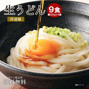 生うどん9食麺のみ（普通麺）