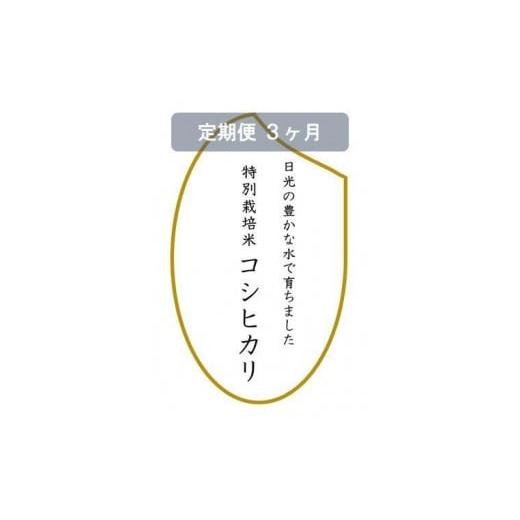 ふるさと納税 栃木県 日光市 令和5年産　特別栽培米コシヒカリ　玄米10kg（5kg×2袋）