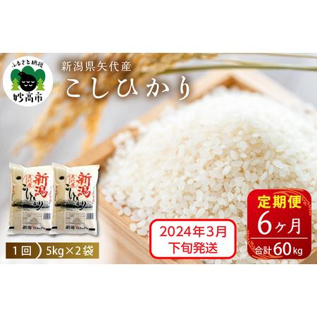 ふるさと納税 新潟県矢代産コシヒカリ10kg×6回（計60kg）※沖縄県・離島配送不可 新潟県妙高市