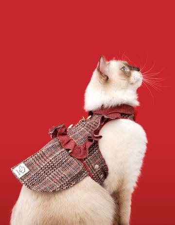 瑞荷 Among胸背衣 _ 本商品限乾洗 (冬款絨毛底布)