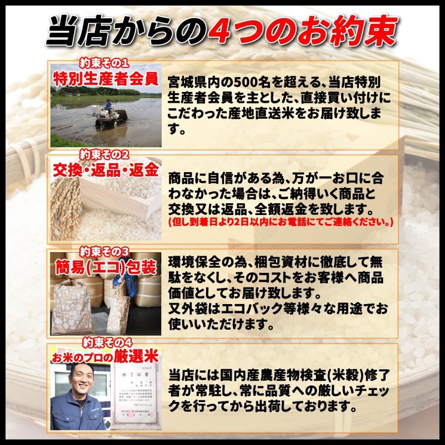 お米 20kg 宮城県産 ひとめぼれ 令和5年産 送料無料 米処 玄米 5分 7分 精白米 白米 ヒトメボレ お米 ごはん ご飯 精米 産地直送  食品 美味しい