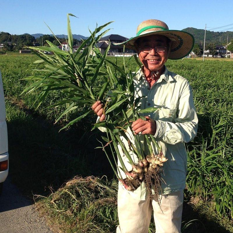 岡山県産限定 新鮮 産直野菜と卵セット（野菜8品目）