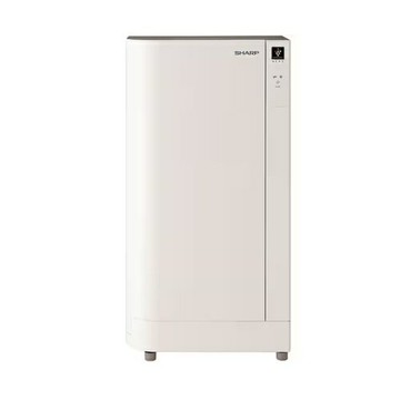 免運新款 SHARP 夏普 DY-B01 除菌離子 鞋子除臭機 空氣清淨 鞋櫃 運動鞋 皮鞋 消臭 脫臭 除菌 日本代購