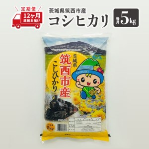  茨城県筑西市産 コシヒカリ5kg 米 コメ こしひかり 定期便12回 60kg 茨城県 単一米 精米  [CH007ci]