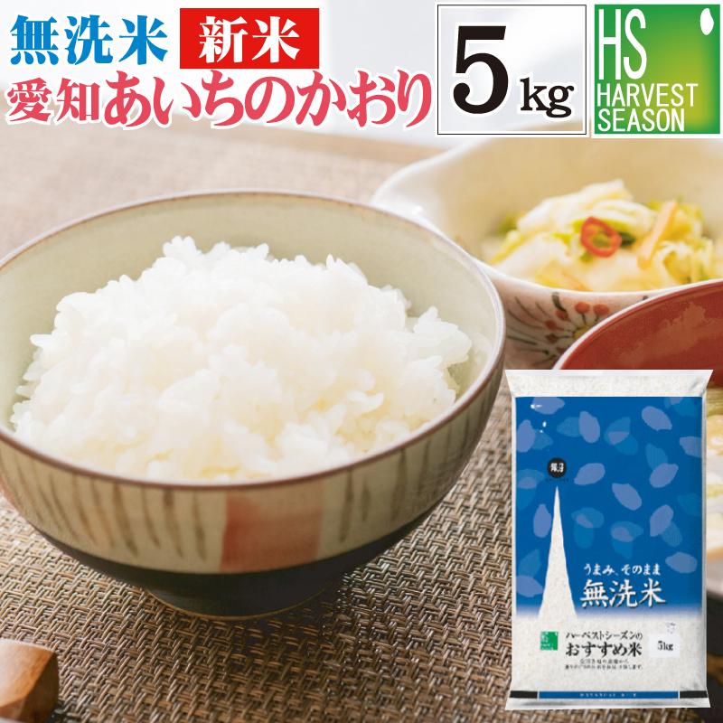 新米 無洗米 5kg 愛知県産 あいちのかおり 大粒米 令和5年産 送料無料