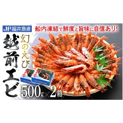 ふるさと納税 福井県 越前町 [e12-b002] 「幻のえび」 越前エビ 1kg （500g × 2箱） 船内凍結 鮮度と旨味に自信あり！【 福井漁連 ブランド品 越前えび 1キロ…