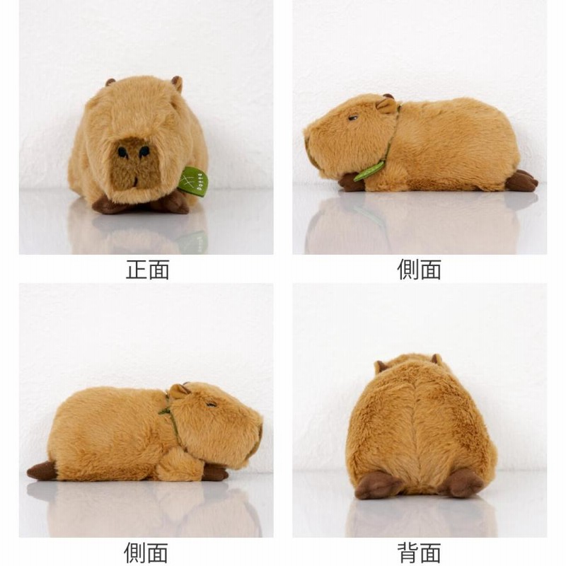 ぬいぐるみ potte カピバラ （ ヌイグルミ かぴばら 動物 雑貨