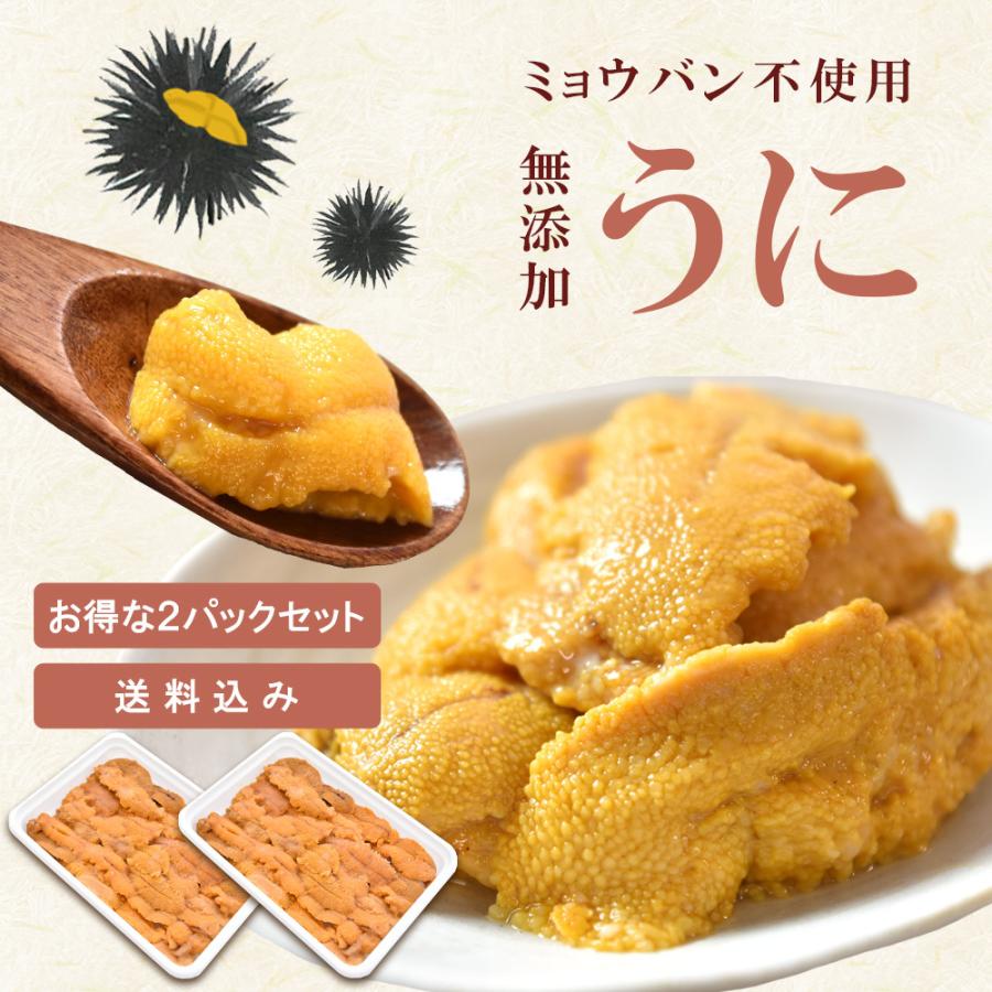 ウニ 無添加 100g×2パック お歳暮 御歳暮 2023 プレゼント 4人前 うに ミョウバン不使用 海鮮丼 ギフト のし パスタ