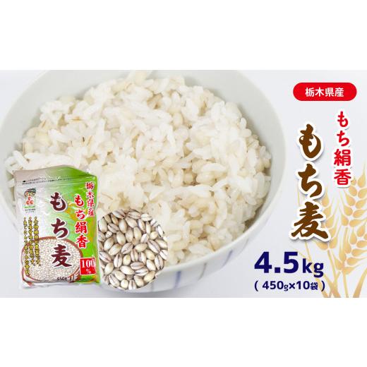 ふるさと納税 栃木県 真岡市 もち麦 栃木県産もち絹香　もち麦　4.5kg（450g×10袋）真岡市 栃木県