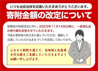 手作り 牛すじ煮込みカレー (冷凍)