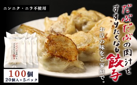 だぶだぶの肉汁をすすりたくなる餃子 100個（20個入×5パック）