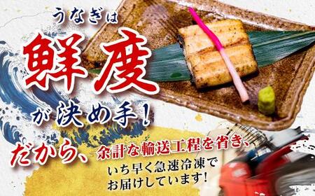 鹿児島県産うなぎカット白焼き6袋 計300g以上（パック個包装）