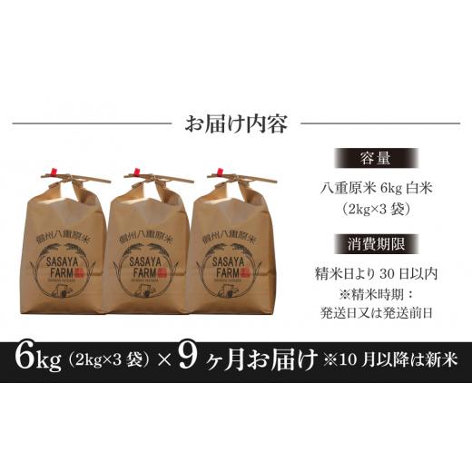 ふるさと納税 長野県 東御市 八重原米6kg（2kg×3袋）白米