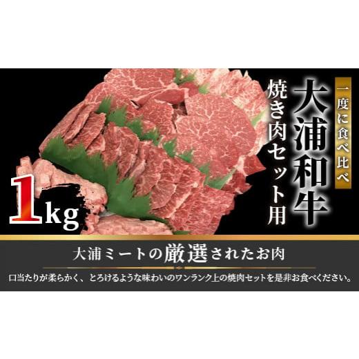 ふるさと納税 兵庫県 加古川市 大浦和牛焼肉セット(1kg)