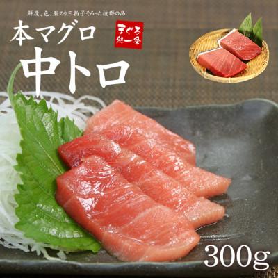 ふるさと納税 いわき市 本マグロ中トロ　約300g　解凍レシピ付き　1サクずつ真空包装