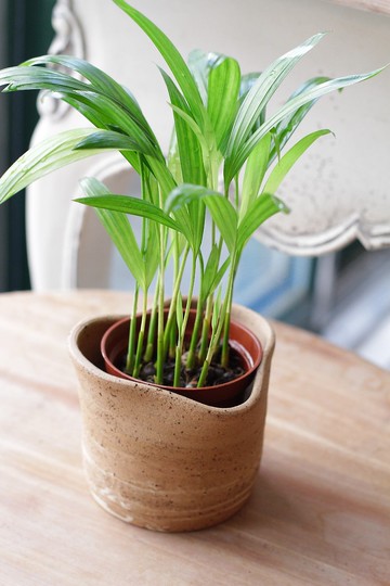 花蓮原礦土大愛心陶盆