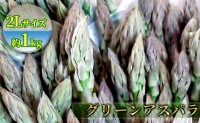 朝採り ハウス グリーン アスパラ 1kg＆アスパラ キッシュ 北海道 富良野市 (バリアフリーの宿＆カフェ いつか富良野へ)